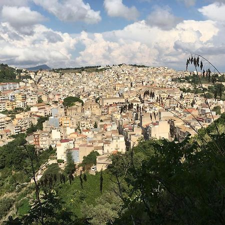 La Domus Di Segesta Daire Calatafimi Dış mekan fotoğraf