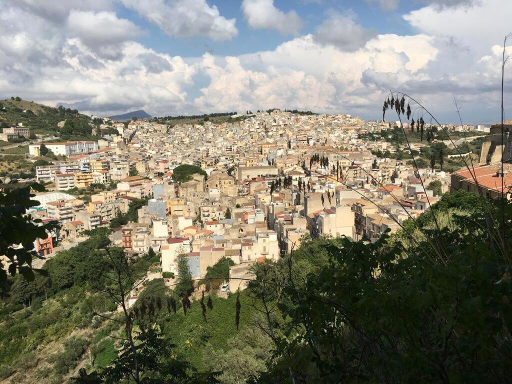 La Domus Di Segesta Daire Calatafimi Dış mekan fotoğraf